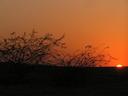 Sunset over the plains.